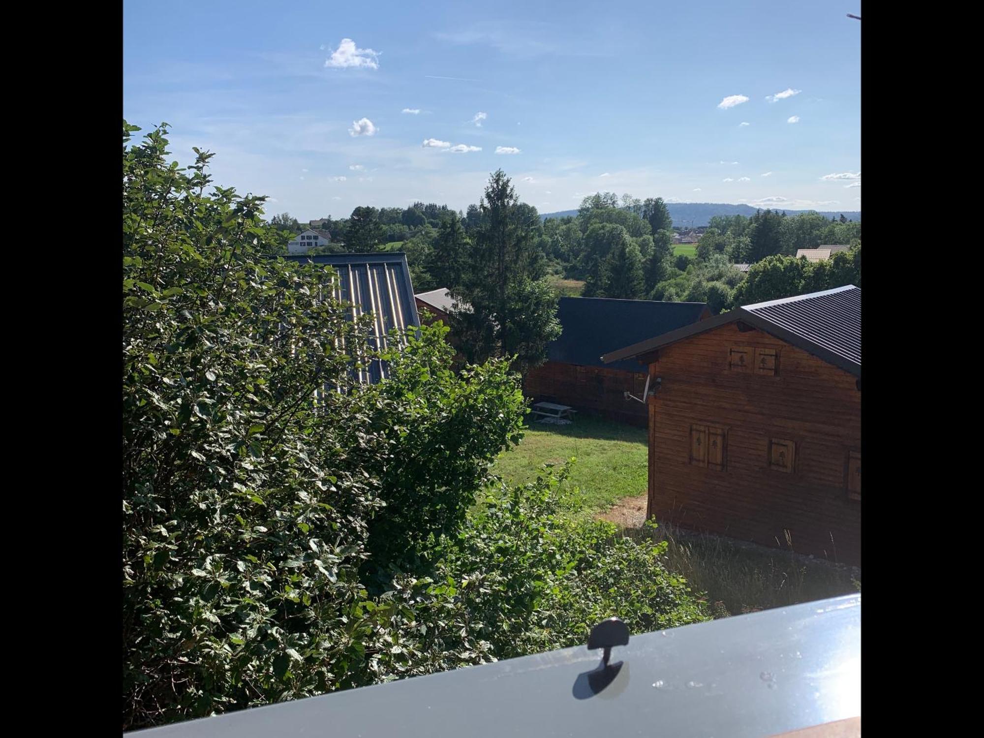 Chalet L'Embellie - Chalet Avec Piscine Partagee Saint-Laurent-en-Grandvaux エクステリア 写真