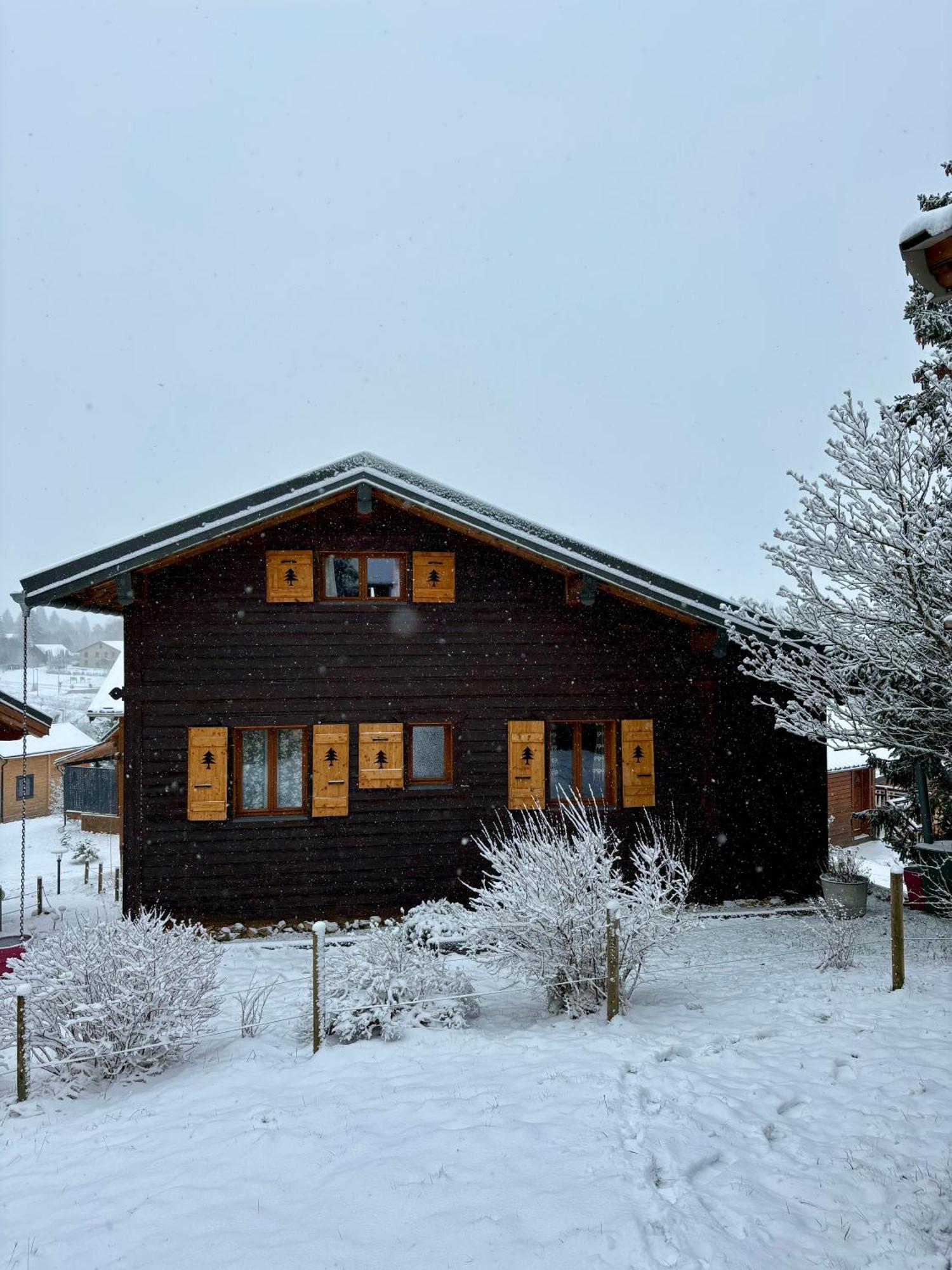 Chalet L'Embellie - Chalet Avec Piscine Partagee Saint-Laurent-en-Grandvaux エクステリア 写真