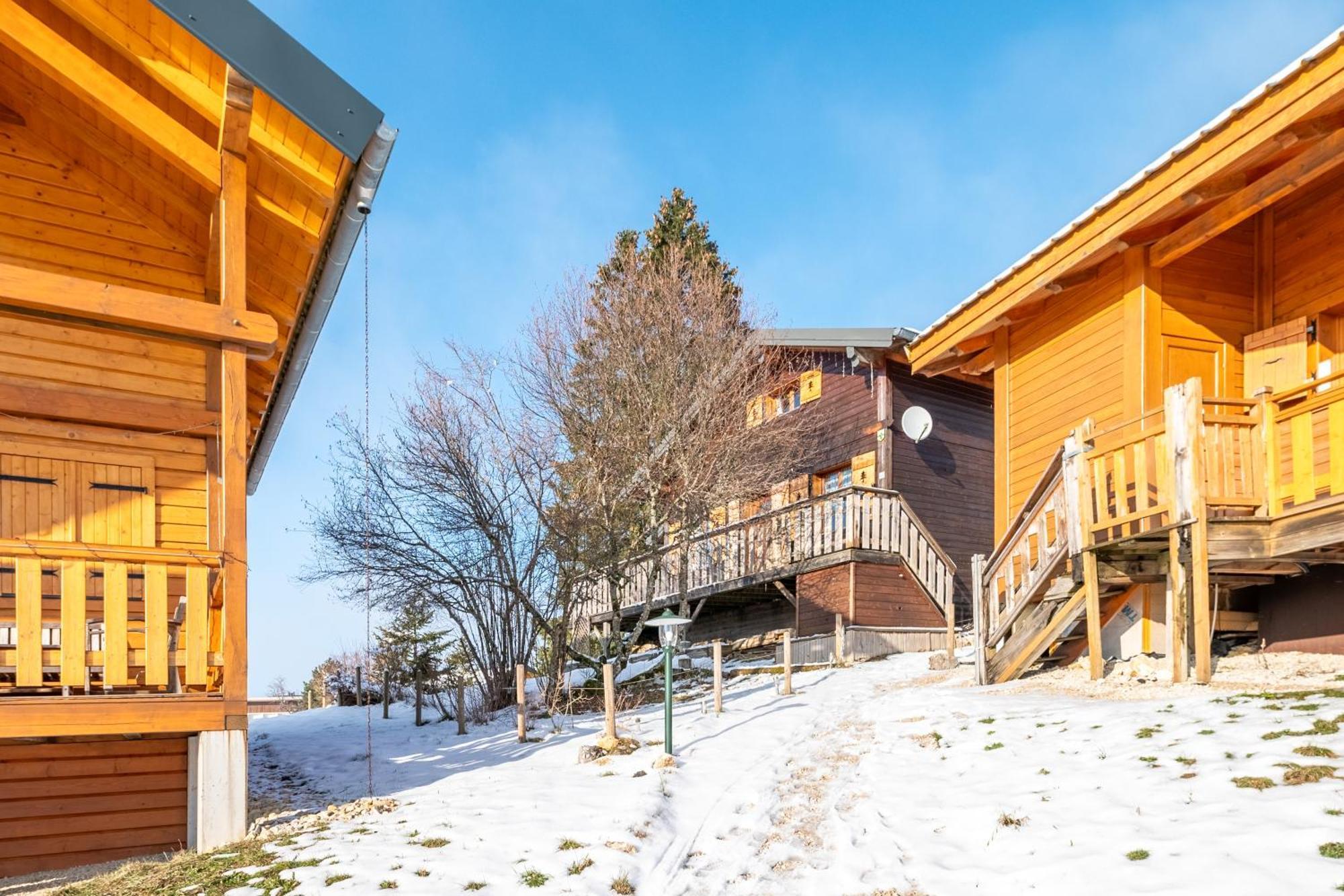 Chalet L'Embellie - Chalet Avec Piscine Partagee Saint-Laurent-en-Grandvaux エクステリア 写真